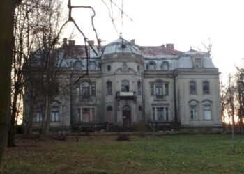 Powiat przysuski: Wiekowe drzewa