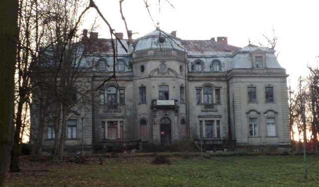 Powiat przysuski: Wiekowe drzewa