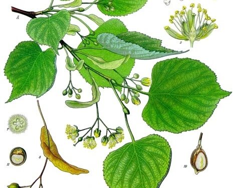 Powiat białobrzeski: 280 lip