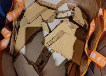 Radom: Dron wykrył truciciela