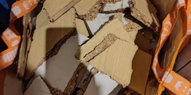 Radom: Dron wykrył truciciela