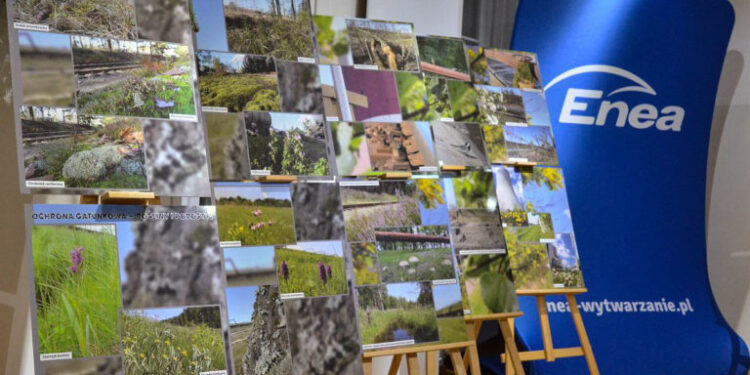 Powiat kozienicki: Flora, fauna i… elektrownia