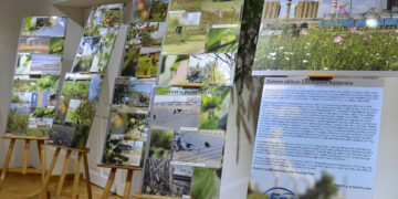 Powiat kozienicki: Flora, fauna i… elektrownia