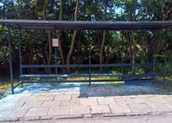 Radom: 99 aktów wandalizmu w 2021 r.