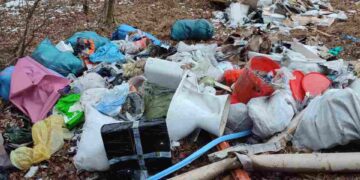 Śmieciowy problem w lasach regionu radomskiego