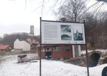 Radomskie: Ferie w lesie