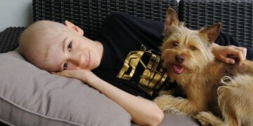 Powiat radomski: Zbiórka krwi dla 12-latka z Radomia