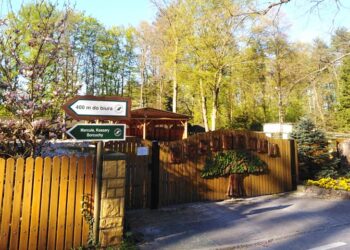 Region radomski: Spotkanie z dendrologią