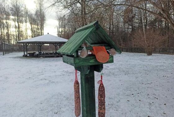 Region radomski: Na współpracy zyskały ptaki