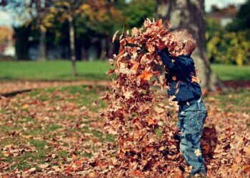 [AKTUALIZACJA] Ojciec 3-latka zatrzymany – jest podejrzany o znęcanie się nad dzieckiem
