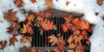 Radom: Zwłoki w studzience – wiemy, co się wydarzyło