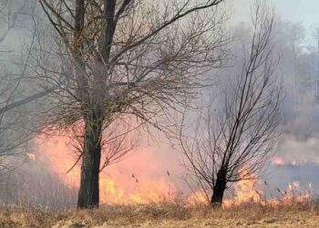 Powiat grójecki: Nastolatkowie na wagarach podpalili trawy