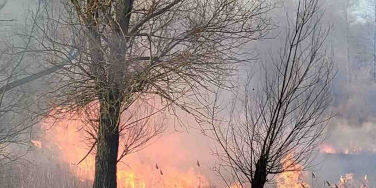 Powiat grójecki: Nastolatkowie na wagarach podpalili trawy