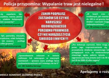 Płoną trawy i lasy w całym regionie!