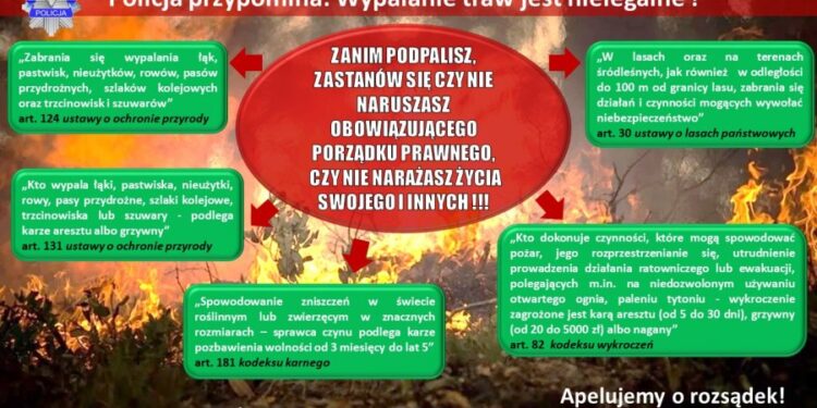 Płoną trawy i lasy w całym regionie!