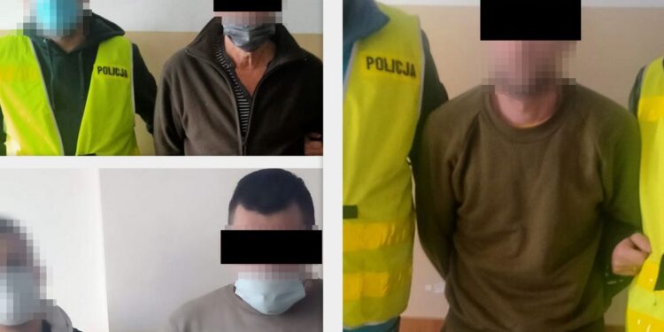 Mieszkańcy regionu radomskiego kłusowali w lubelskich lasach