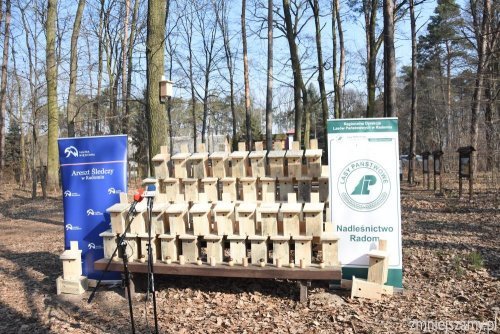 Radom: Budki lęgowe dla ptaków od więźniów