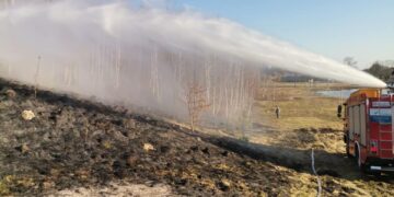 Z kraju / Region radomski: Plaga pożarów traw