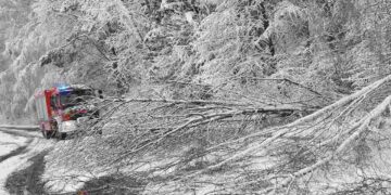 Region radomski: Gigantyczne awarie prądu – winny śnieg