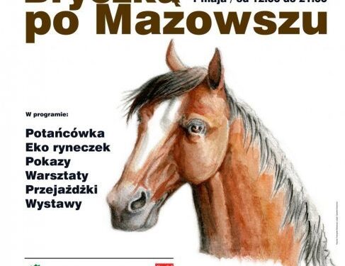 Radom: Bryczką w majówkę!