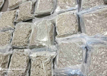 Radom: Poduszki z marihuaną w przesyłce z Kanady