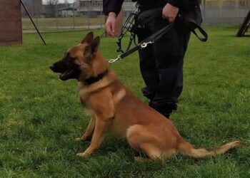 Radom: Nadit odnalazł 88-latka