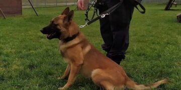 Radom: Nadit odnalazł 88-latka