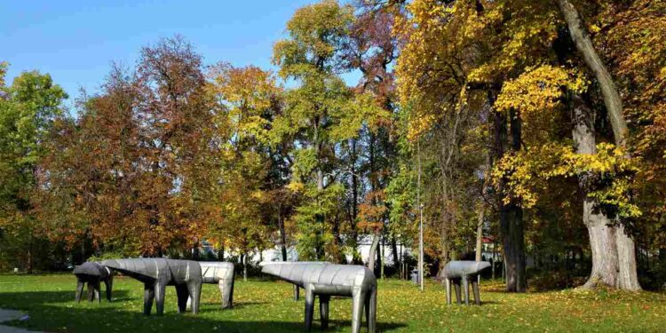 Radomskie: Sztuka na majówkę!