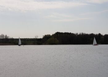 Powiat radomski: Pięć osób za burtą