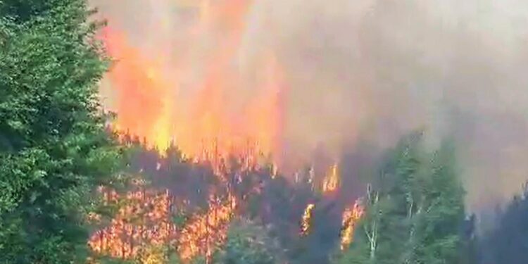 Region radomski: Gigantyczny pożar lasu – Black Hawk i niemal 200 strażaków w akcji [GALERIA, Video]