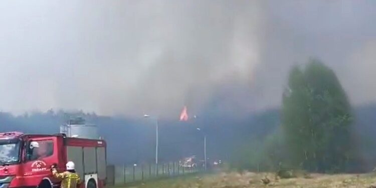Region radomski: Gigantyczny pożar lasu – Black Hawk i niemal 200 strażaków w akcji [GALERIA, Video]
