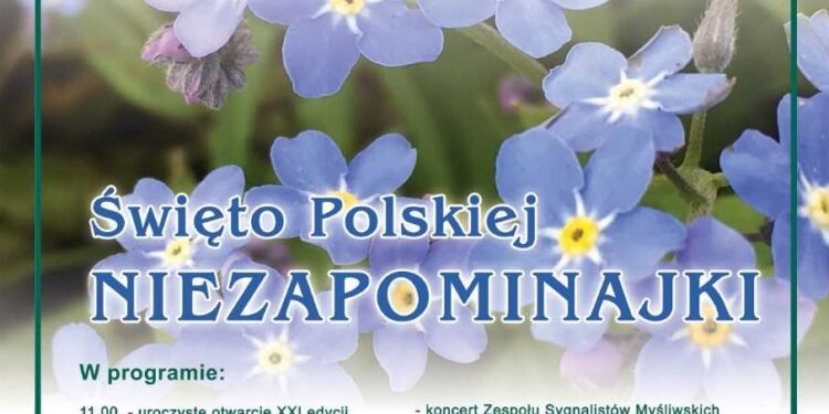 Radomskie: XXI Święto Polskiej Niezapominajki!