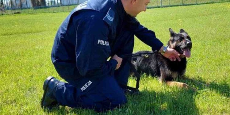 Powiat grójecki: Pogoda już na służbie [Galeria]