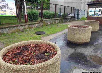 Radom: Ukradli zieleń!