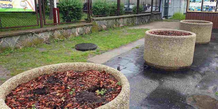 Radom: Ukradli zieleń!