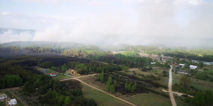 Region radomski: Gigantyczny pożar lasu – Black Hawk i niemal 200 strażaków w akcji [GALERIA, Video]