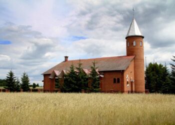 Powiat radomski: Pancerniak Piechota