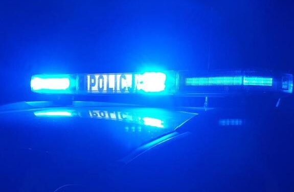 Powiat grójecki: Przyłapany nocą na kradzieży… czereśniowych drzewek