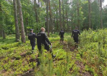 Radom: Biegli podali przyczynę śmierci 24-latka z Radomia