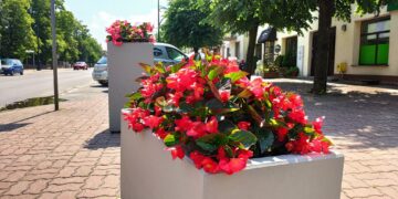 Powiat białobrzeski: Donice przy ulicach