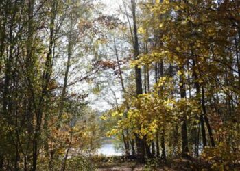 Powiat radomski: Nowe szlaki w rezerwacie Jedlnia