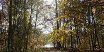 Powiat radomski: Nowe szlaki w rezerwacie Jedlnia