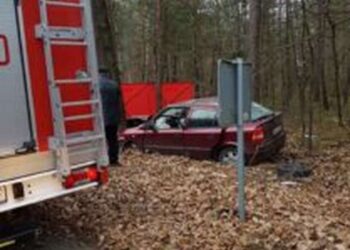 Powiat białobrzeski: Pomoc dla OSP