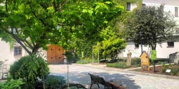 Radom: Mini ogród w Muzeum!