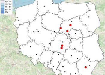 Radom: Mapa wypadków drogowych – Wakacje 2022