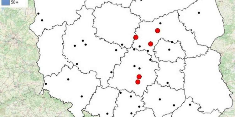 Radom: Mapa wypadków drogowych – Wakacje 2022