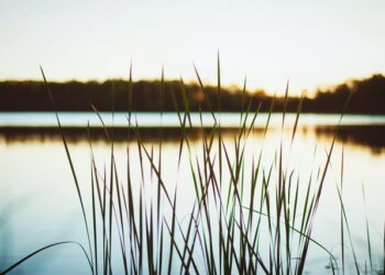 Radom / Powiat radomski: 24-latek utonął w Radomce – jest śledztwo