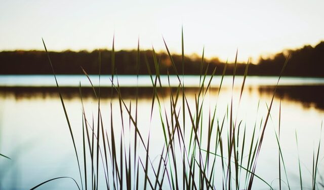 Radom / Powiat radomski: 24-latek utonął w Radomce – jest śledztwo