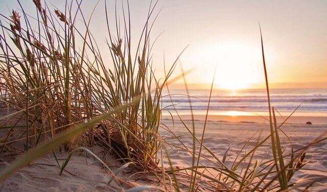 Radomskie / Z kraju: Ostatni moment na skorzystanie z bonu turystycznego