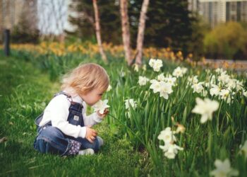 Powiat radomski: Opiekunki zgubiły 3-latka